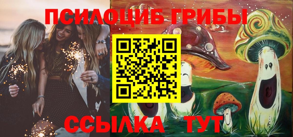 Галлюциногенные грибы GOLDEN TEACHER  Вход с VPN  Электрогорск 