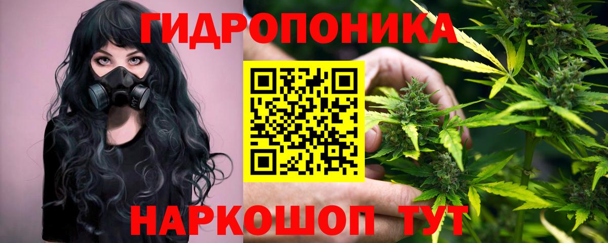 Шишки марихуана марихуана Электрогорск